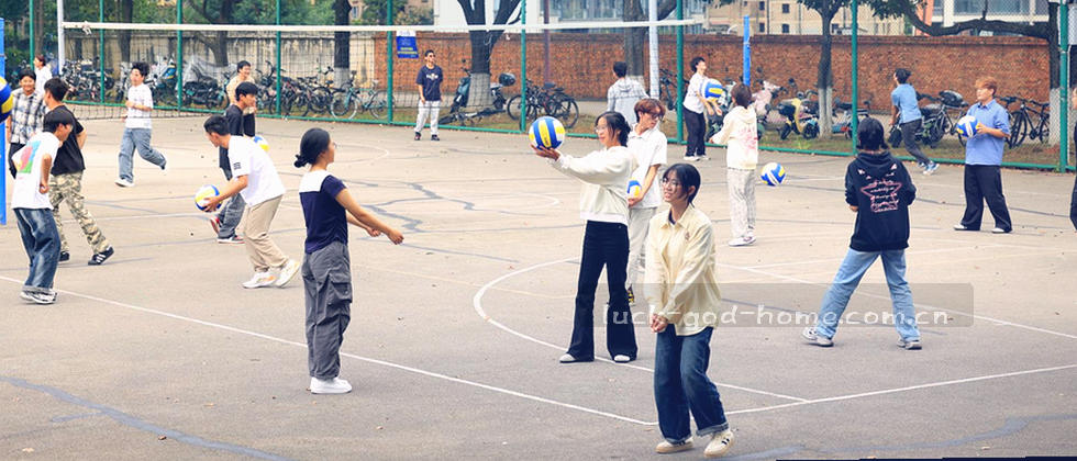 隐私政策与数据权属声明